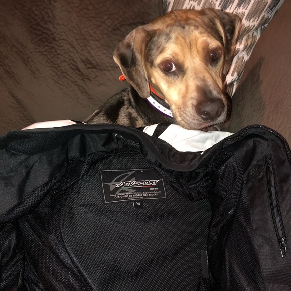 Women’s motorcycle jacket - Picture 6 of 6